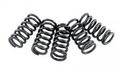 EBC Clutch Spring Set Yamaha Raptor 250 and 250R